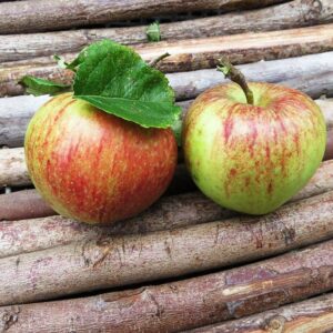 Altländer Pfannkuchen - Zwei Äpfel auf einer Holzunterlage