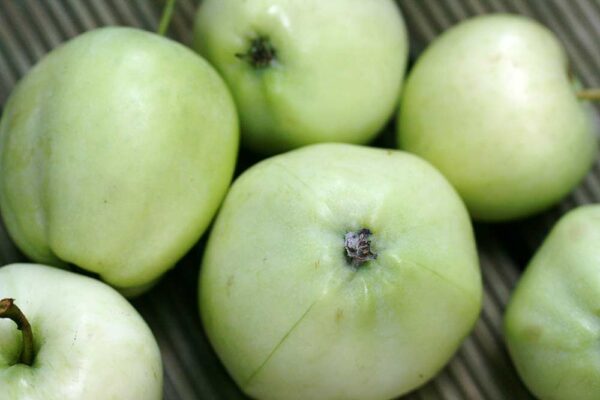 Klarapfel | Apfelbaum | Baumschule Südflora - sechs Äpfel auf einem Tisch