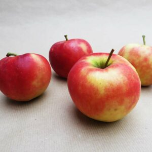 Freiherr von Berlepsch kaufen | Apfelbaum - vier Äpfel auf einem Tisch
