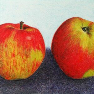 Jamba | Apfelbaum | Baumschule Südflora - Malerische Darstellung zweier Äpfel