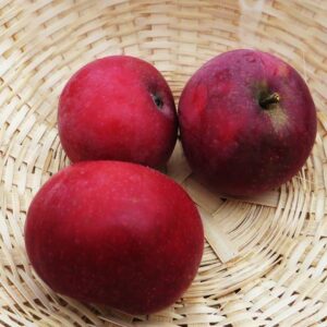 McIntosh | Apfelbaum | Baumschule Südflora - Drei Äpfel in einem Körbchen