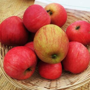 Nathusius Taubenapfel - viele Äpfel lieben in einem Bastkörbchen