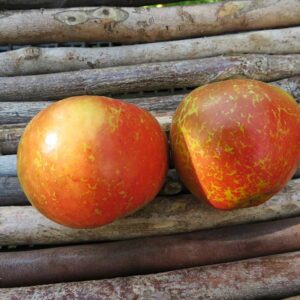 Pannemann | Apfelbaum | Baumschule Südflora - Zwei Äpfel liegen auf parallelen Holzstangen