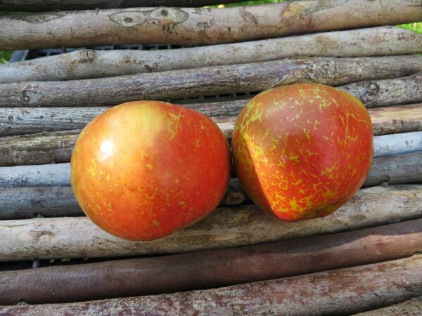 Pannemann | Apfelbaum | Baumschule Südflora - Zwei Äpfel liegen auf parallelen Holzstangen