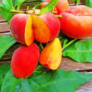 Galaxia Gold Pfirsich kaufen | Ganze und aufgeschnittene Früchte des Pfirsichbaum