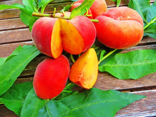 Galaxia Gold Pfirsich kaufen | Ganze und aufgeschnittene Früchte des Pfirsichbaum
