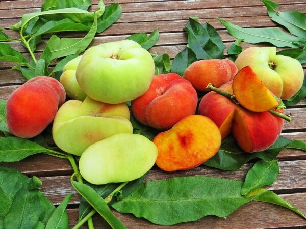 Galaxia Paraguaya | Pfirsichbaum - Früchte und Blattwerk auf einem Holztisch