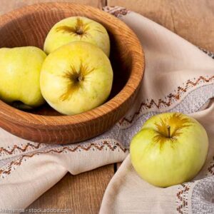 Antonowka kaufen | Apfelbaum | Baumschule Südflora - vier Äpfel