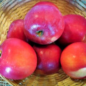 Berner Rosenapfel kaufen | Äpfel Rose de Berne in einem Körbchen