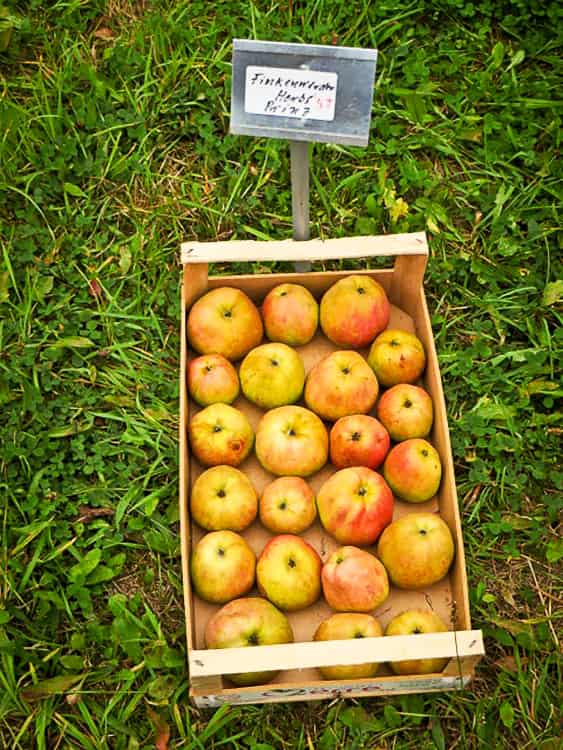 Apfelkiste kaufen - Finkenwerder Herbstprinz