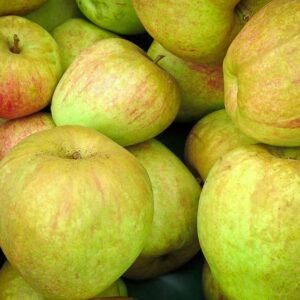 Finkenwerder Herbstprinz „Typ Cramer“ kaufen | Apfelbaum - Äpfel in einer Kiste