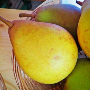 Gellerts Butterbirne / Beurré Hardy kaufen | Birnbaum - 4 Früchte im Bastkörbchen