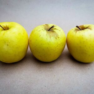 Golden Delicious | Apfelbaum kaufen - Drei Äpfel nebeneinander