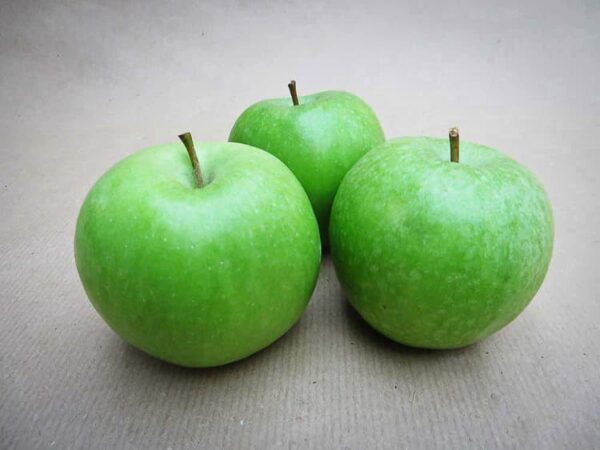 Granny Smith | Apfelbaum kaufen - Drei Äpfel mit Stil