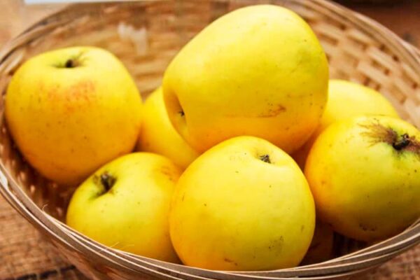 Manks Küchenapfel kaufen | Apfelbaum | Baumschule Südflora - Gelbe Äpfel im Korb