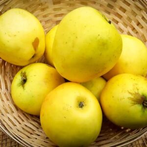 Manks Küchenapfel kaufen | Apfelbaum | Baumschule Südflora - Äpfel in einem Körbchen