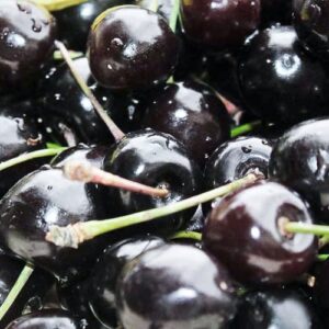 Mohrenkirsche kaufen Frühe Landele | Kirschbaum | Baumschule Südflora . Viele Kirschen im Bild