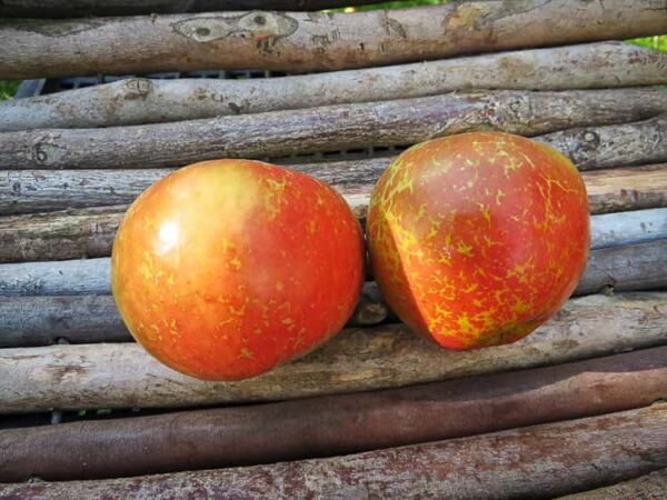 Pannemann kaufen | Apfelbaum | Baumschule Südflora - Zwei Äpfel liegen auf parallelen Holzstangen