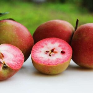 Roter Lokiapfel kaufen - Ganze und halbe Äpfel des Apfelbaums auf einem Tisch