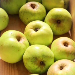 Seestermüher Zitronenapfel kaufen | Apfelbaum kaufen | Südflora - Äpfel in einer Kiste