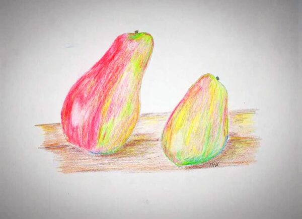 Williams Christ Apfel kaufen - Bleistift Zeichnung der Apfelfrüchte