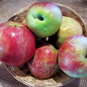 Wilstedter kaufen | Apfelbaum | Baumschule Südflora - Äpfel im Körbchen