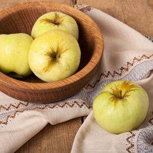 Antonowka | Apfelbaum | Baumschule Südflora - vier Äpfel