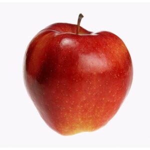 Shampion | Apfelbaum | Baumschule Südflora - Apfel mittig im Bild