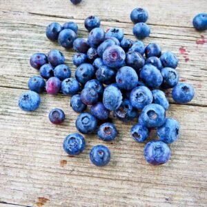 Heidelbeere kaufen | Beerensträucher | Baumschule Südflora - Blaubeere / Waldbeere liegen auf einem Tisch