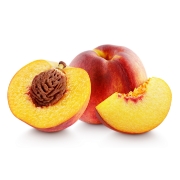 Pfirsich - Pfirsichbaum / Nektarinenbaum online kaufen - über 20 Pfirsichsorten im Shop