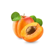 Ganze und halbe Aprikose samt Blattwerk - Aprikosenbaum kaufen