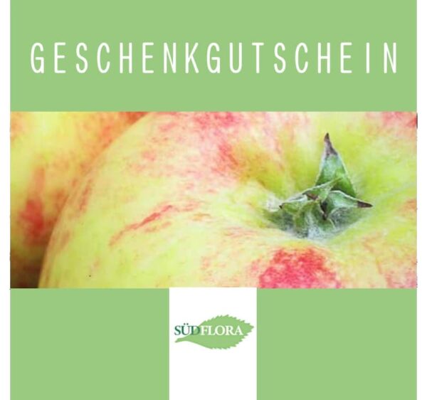 Gutschein / Voucher - Obstbaum Geschenk