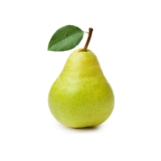 Birne mit Blatt - Birnbaum / Nashibaum kaufen