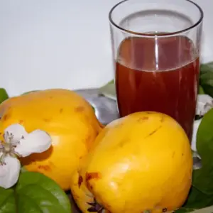 Multiflora Frankonia Quittenbaum - zwei Quitten samut Blüte, Blattwerk und einem Glasquittensaft auf einem Tisch