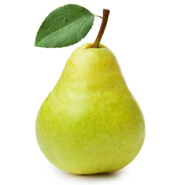 Birnen - Birnenbaum / Naschibaum online kaufen - über 40 Birnensorten im Shop