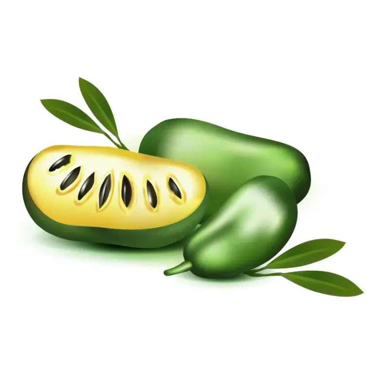 Indianerbanane - Indianerbananenbaum online kaufen - über 15 Indianerbananensorten im Shop