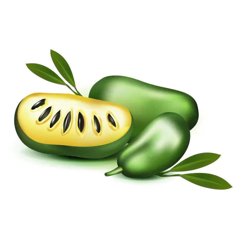 kaufen Pawpaw Baum